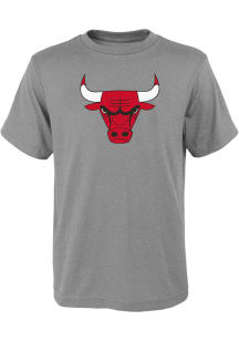 Chicago Bulls Boys Grey Primary Logo Short Sleeve T-Shirt