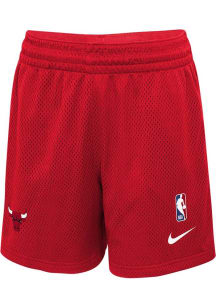 Nike Chicago Bulls Youth Red Nike Dri-Fit Player Shorts