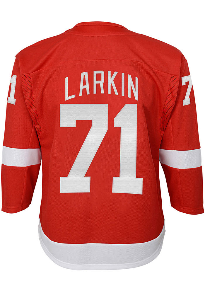 Nhl Detroit Red Wings Boys' Larkin Jersey - M : Target