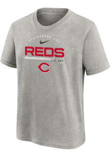 Nike Cincinnati Reds Youth Grey Team Engineered Short Sleeve T-Shirt