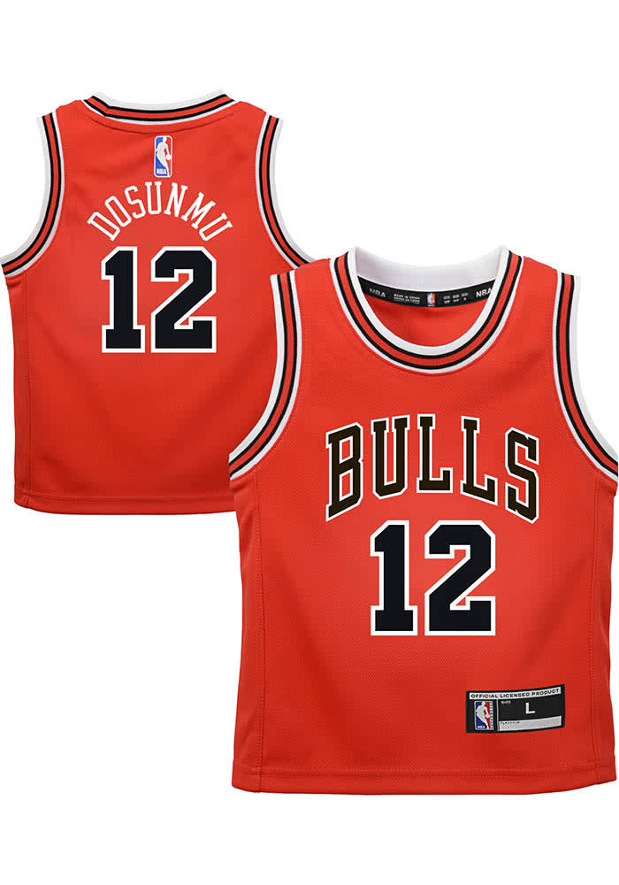 bulls dosunmu jersey