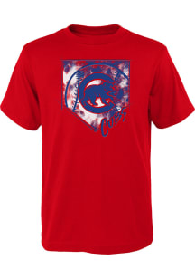 Chicago Cubs Youth Red Home Field Short Sleeve T-Shirt
