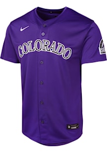 Nike Colorado Rockies Youth Purple Alt Limited Blank Jersey