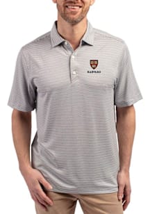 Cutter and Buck Harvard Crimson Grey Forge Double Stripe Big and Tall Polo