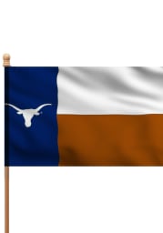 Texas Longhorns 3x5 State Style Sleeve Applique Flag