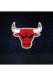 Chicago Bulls Steel Logo Magnet