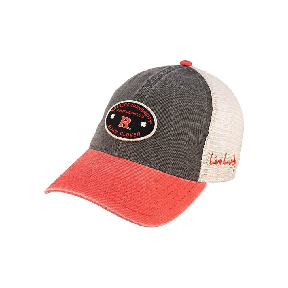 Desert Cactus Rutgers University Baseball Cap - Scarlet Knights Embroidered Adjustable Hat, White (Style B1)