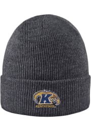 LogoFit Kent State Golden Flashes Grey Northpole Cuffed Mens Knit Hat