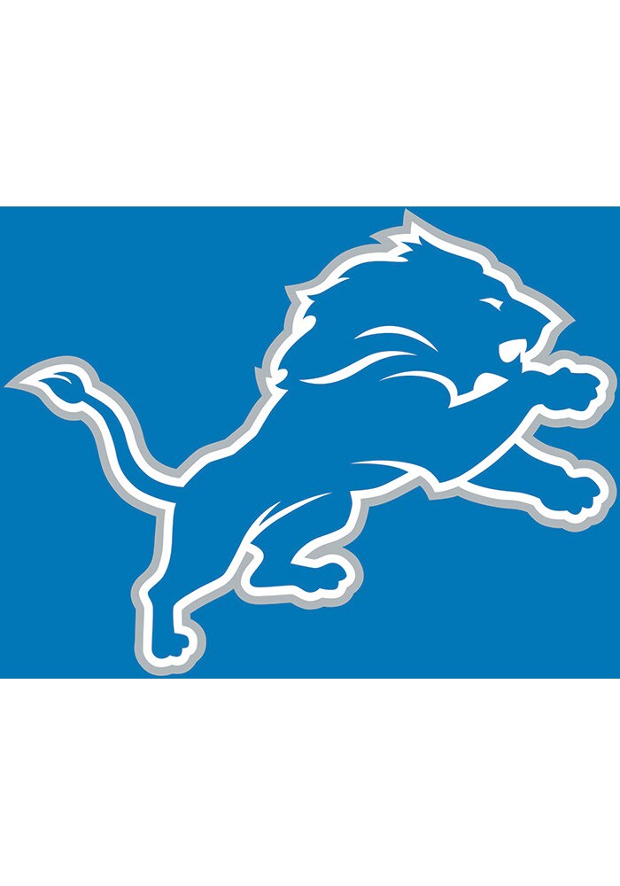 Detroit Lions Applique 18x12 Garden Flag - 801946080176