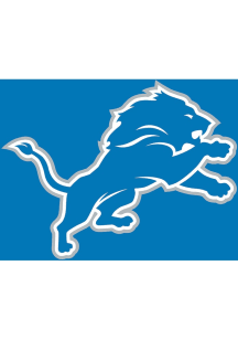 Detroit Lions Applique Garden Flag