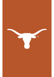 Texas Longhorns Applique Garden Flag