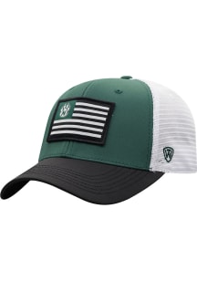 Top of the World Northwest Missouri State Bearcats Mens Green Pedigree Flex Hat