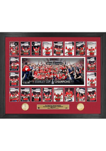 Florida Panthers 2025 Stanley Cup Champions Memorable Moments Collectible Coin