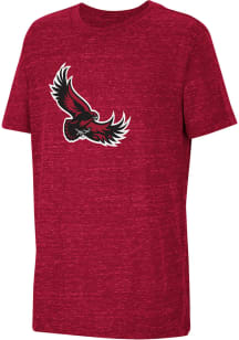 Colosseum Saint Josephs Hawks Youth Crimson Knobby Primary Logo Short Sleeve T-Shirt