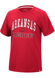 Colosseum Arkansas Razorbacks Cardinal Nice Marmot Short Sleeve T Shirt