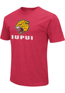 Colosseum IUPUI Jaguars Crimson Name Drop Short Sleeve T Shirt
