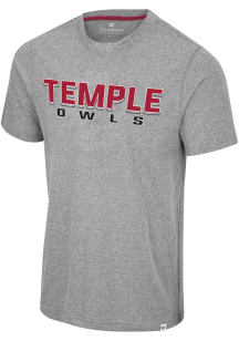 Colosseum Temple Owls Grey Yeah, You Blend Short Sleeve Fashion T Shirt
