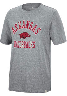 Colosseum Arkansas Razorbacks Grey Trout Short Sleeve Fashion T Shirt