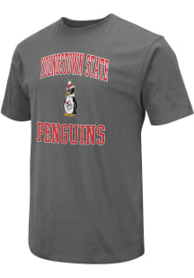 Colosseum Youngstown State Penguins Charcoal Field Short Sleeve T Shirt