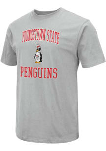 Colosseum Youngstown State Penguins Grey Field Design Short Sleeve T Shirt