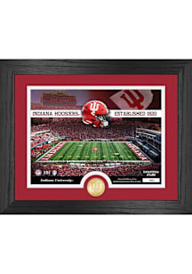 UIN CRIMSON 13x16 Bronze Coin Stadium FRAMES