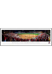 Arizona Wildcats Softball Panorama Framed Posters