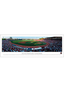 Blakeway Panoramas South Carolina Gamecocks Baseball Panorama Unframed Poster