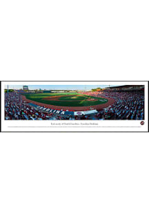 Blakeway Panoramas South Carolina Gamecocks Baseball Panorama Framed Posters