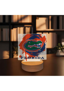Florida Gators Paint Splash Light Desk Accessory