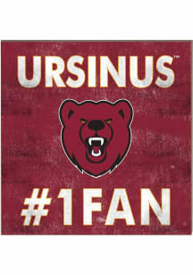 KH Sports Fan Ursinus Bears 10x10 #1 Fan Sign