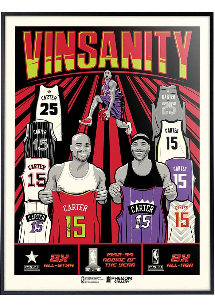 Toronto Raptors 18x24 Vince Carter Vinsanity Deluxe Framed Posters