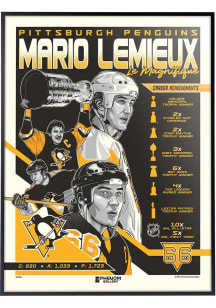 Pittsburgh Penguins 18x24 Mario Lemieux Deluxe Framed Posters