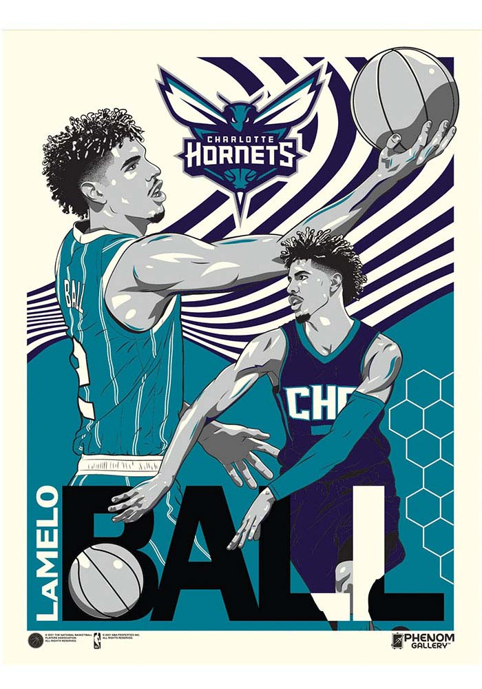 Charlotte Hornets 18x24 LaMelo Ball Unframed Poster