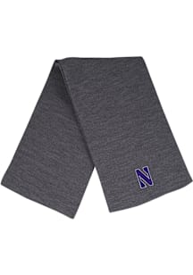 LogoFit Northwestern Wildcats Frosty Mens Scarf
