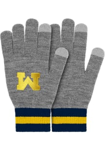 Forever Collectibles Michigan Wolverines Gray Big Logo Mens Gloves