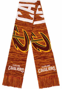 Forever Collectibles Cleveland Cavaliers Big Logo Colorblend Mens Scarf