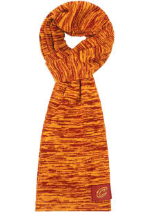 Forever Collectibles Cleveland Cavaliers Colorblend Infinity Womens Scarf