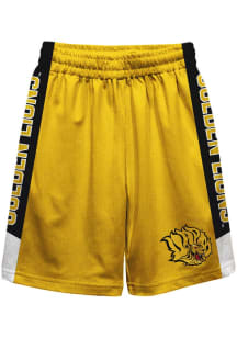 Arkansas Pine Bluff Golden Lions Youth Gold Mesh Athletic Shorts