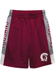 U of A at Little Rock Trojans Youth Maroon Mesh Athletic Shorts