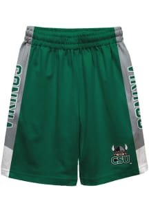 Cleveland State Vikings Youth Green Mesh Athletic Shorts