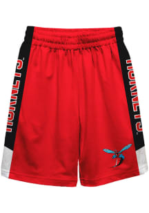 Delaware State Hornets Youth Red Mesh Athletic Shorts