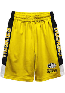 Michigan Tech Huskies Youth Gold Mesh Athletic Shorts
