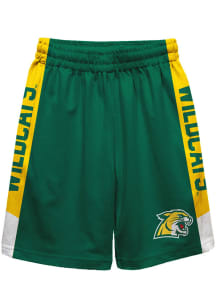 Northern Michigan Wildcats Youth Green Mesh Athletic Shorts