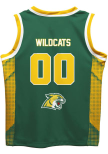 Northern Michigan Wildcats Youth Mesh Green Basketball Jersey