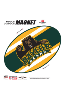 Baylor Bears Team Color Magnet