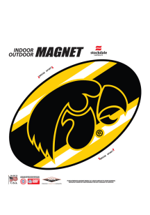 Yellow  Iowa Hawkeyes Team Color Magnet