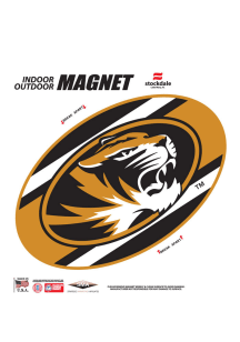 Missouri Tigers Team Color Magnet