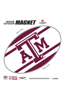 Texas A&amp;M Aggies Stripe Magnet