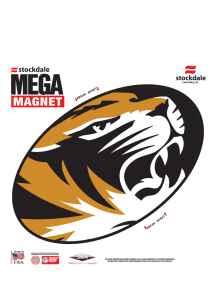 Missouri Tigers Team Color Magnet
