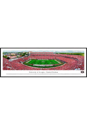 Georgia Bulldogs Sanford Stadium Panoramic Standard Framed Posters